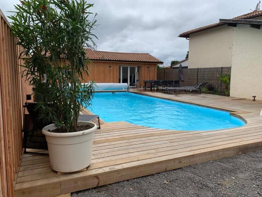 Le Petit Paradis Gujan-Mestras